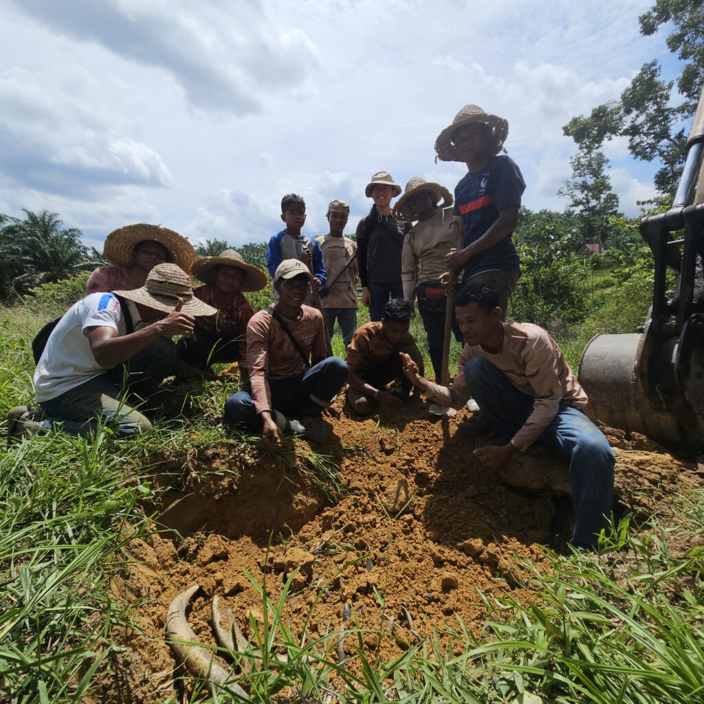 Farm workers making BD500 Horn Manure on Gajah Puteh farm, showcasing collaborative and community approach to biodynamic farming.